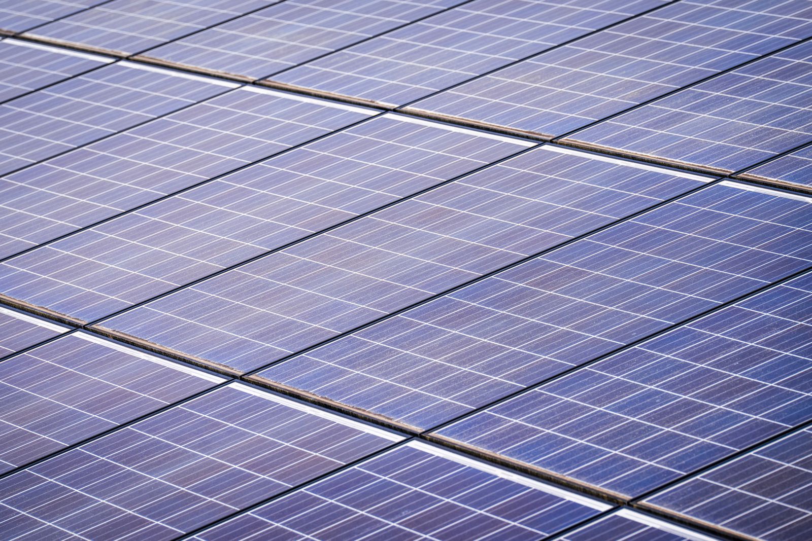 Detail of a solar array in afternoon sunlight